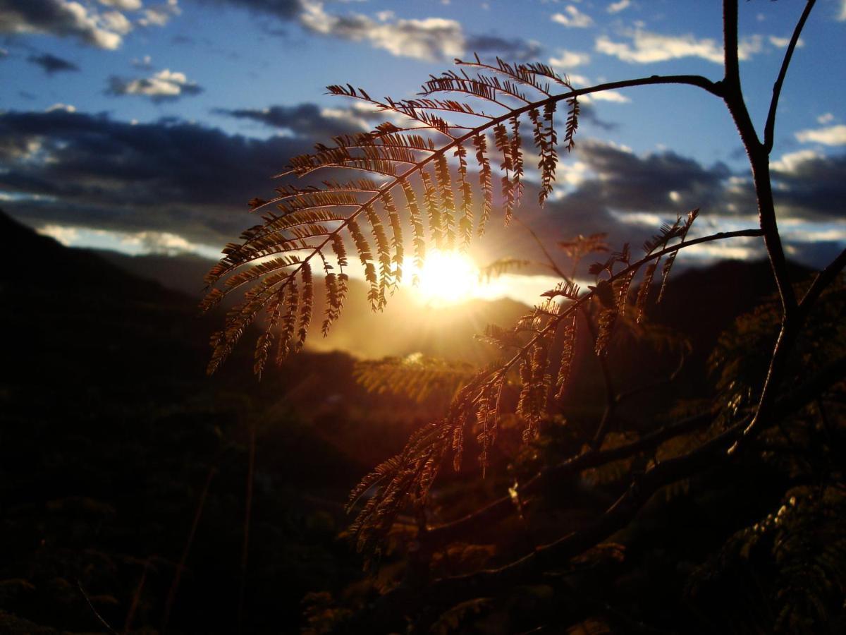 Rumi Wilco Ecolodge & Nature Reserve-Cabanas & Camping Vilcabamba Extérieur photo