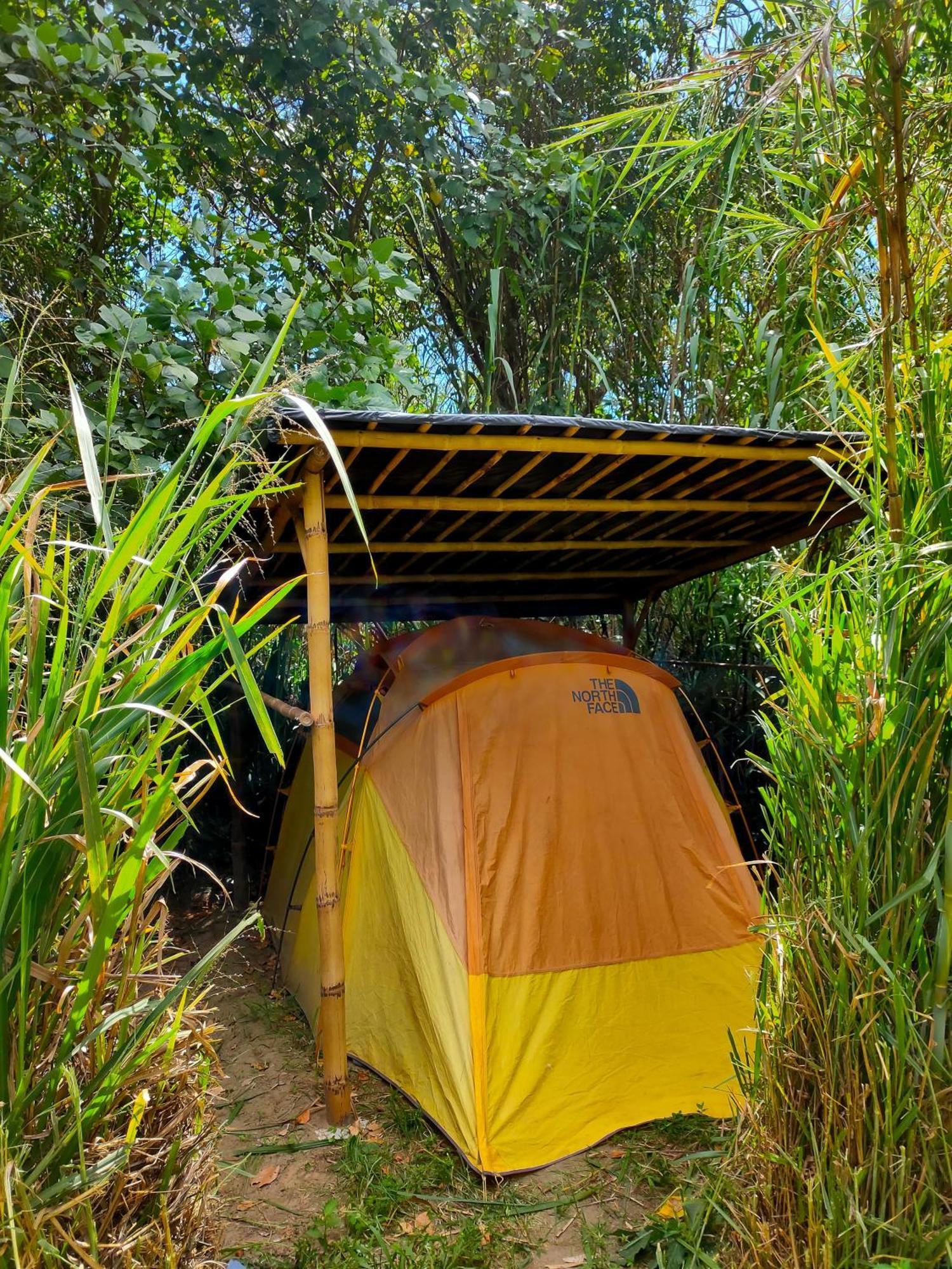 Rumi Wilco Ecolodge & Nature Reserve-Cabanas & Camping Vilcabamba Extérieur photo
