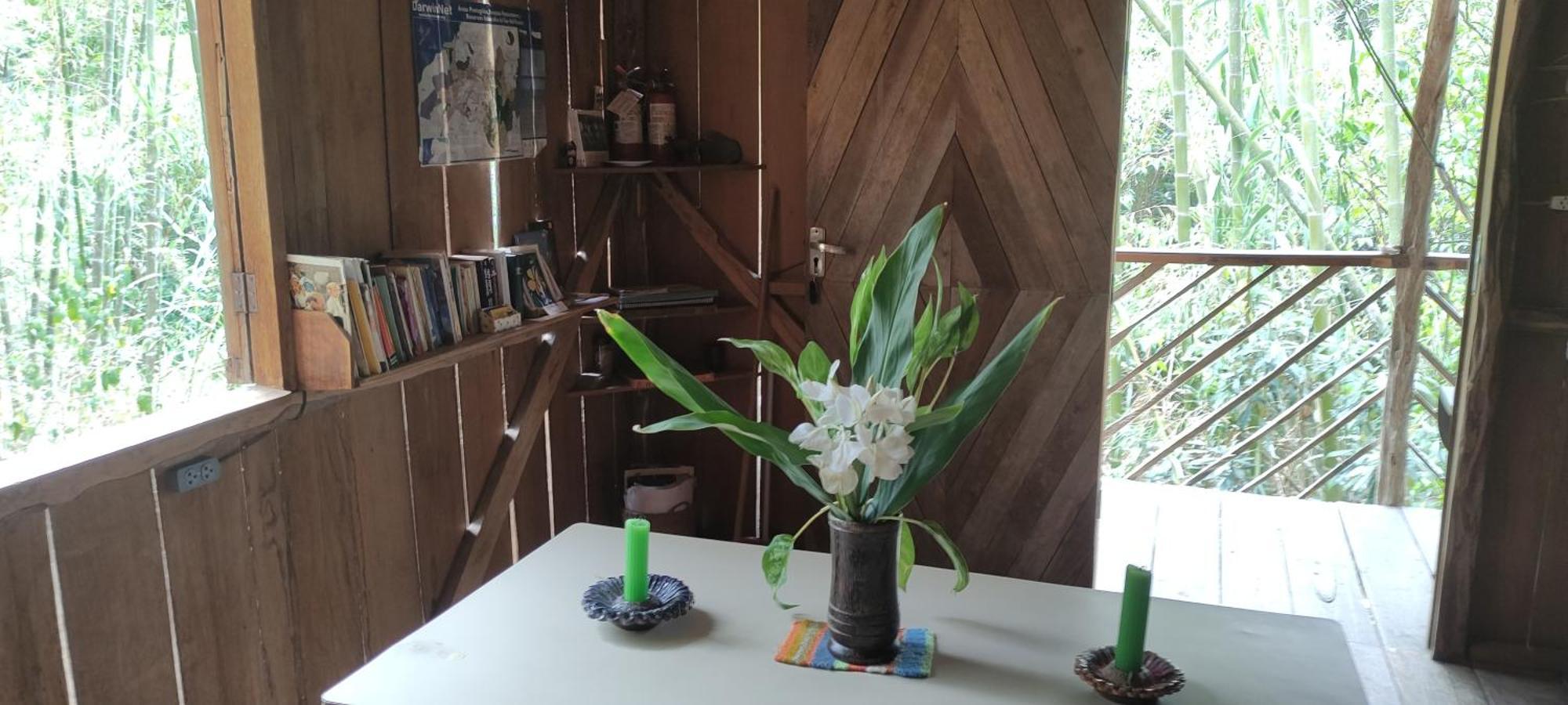 Rumi Wilco Ecolodge & Nature Reserve-Cabanas & Camping Vilcabamba Extérieur photo