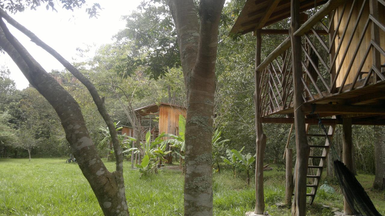 Rumi Wilco Ecolodge & Nature Reserve-Cabanas & Camping Vilcabamba Extérieur photo